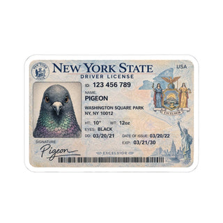 Pigeon's Driver's License Sticker