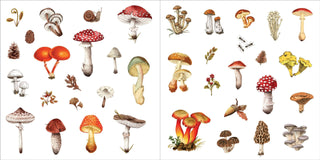 Bunches of Botanicals Sticker Book