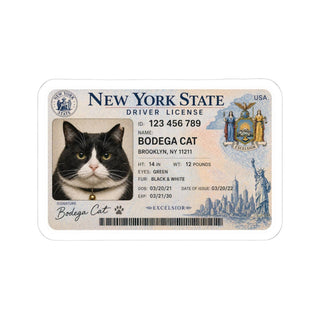 Bodega Cat Driver's License Sticker