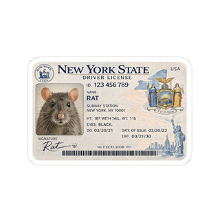 Rat New York Driver's License Sticker